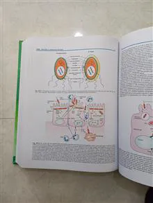 TEXTBOOK