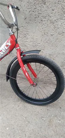 دوچرخه