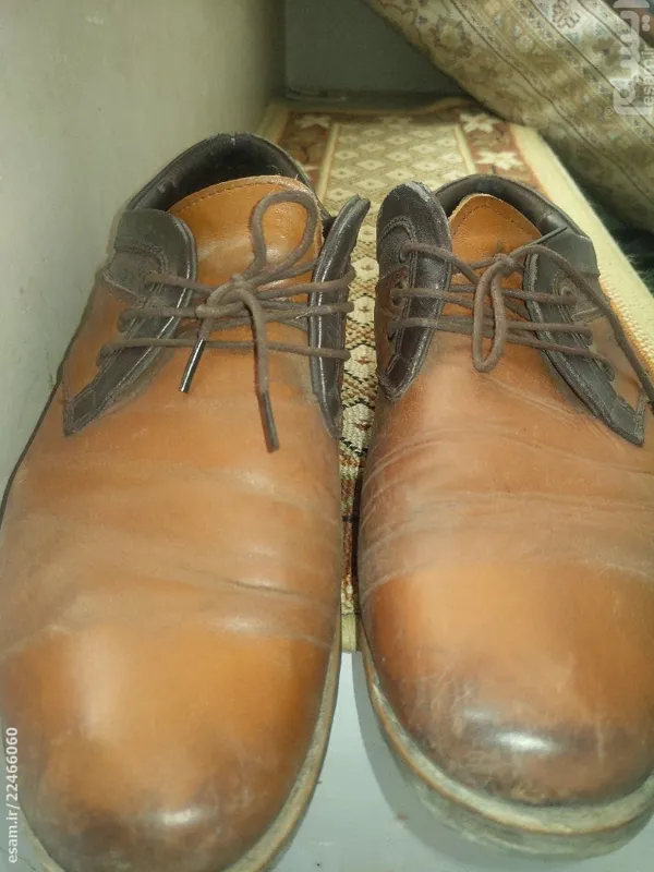 کفش مردانه