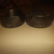 هود