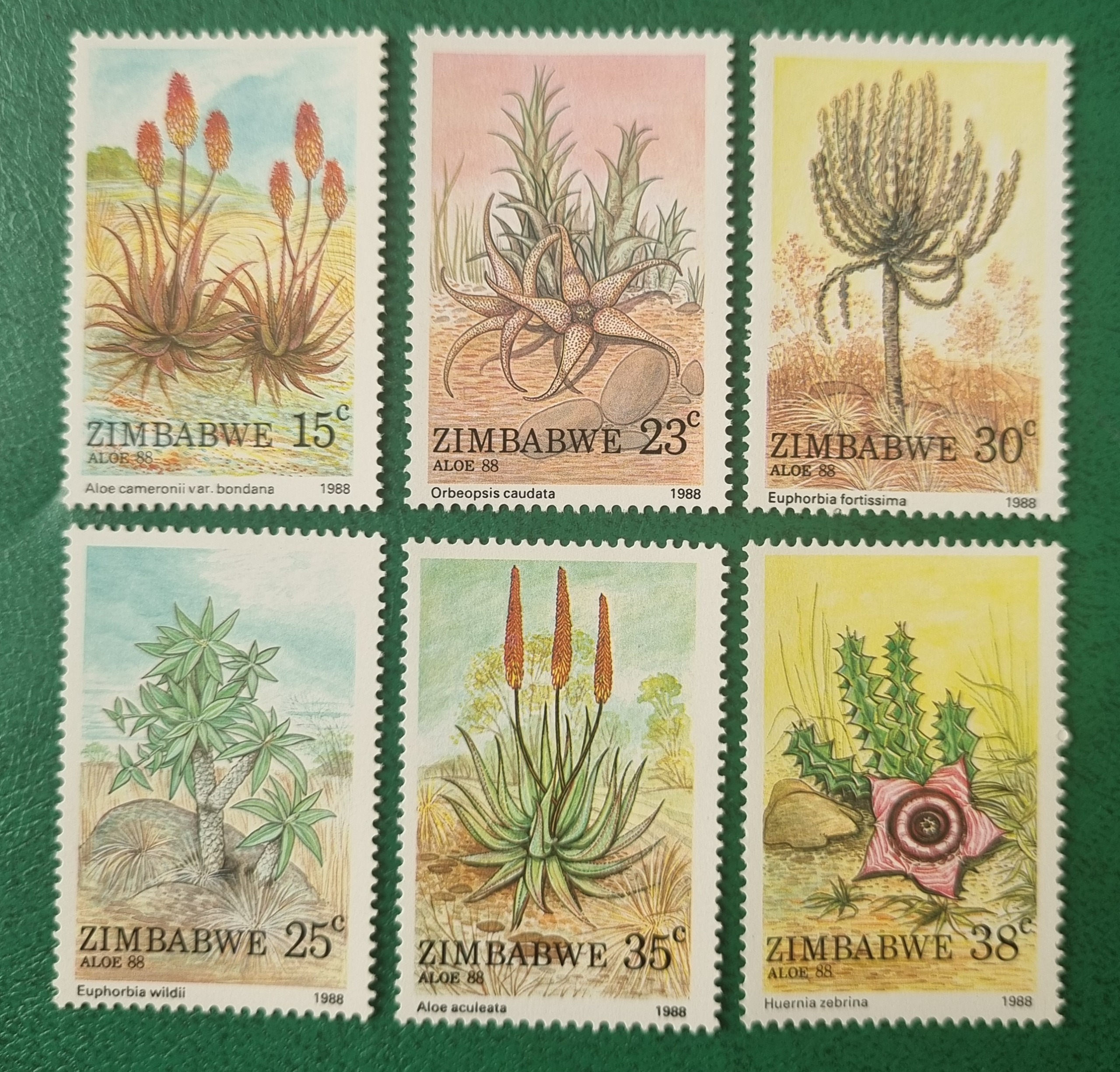 سرس زیبای تمبر گل کشور زیمبابوه