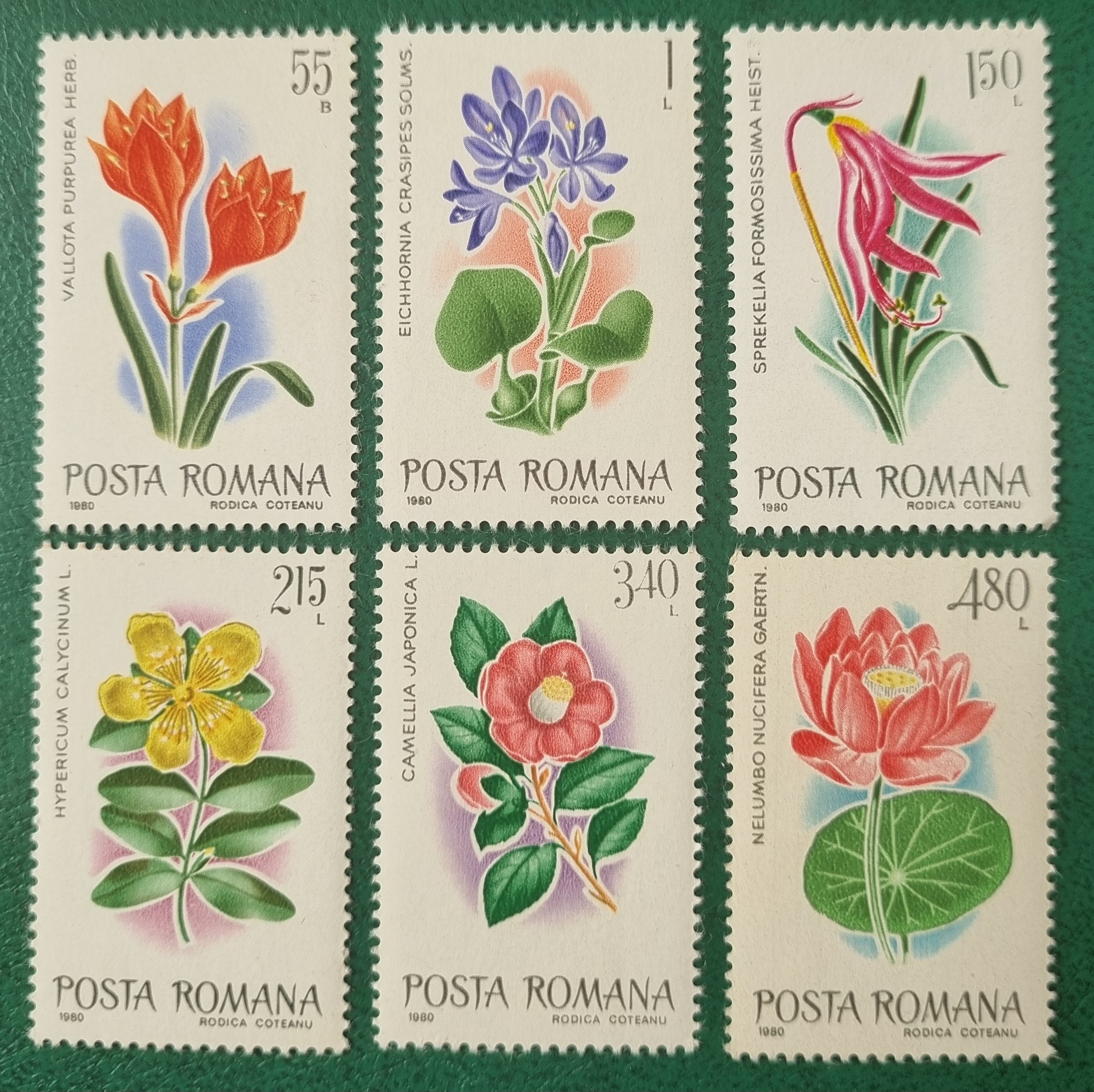 سری زیبای تمبر کل کشور رومانی