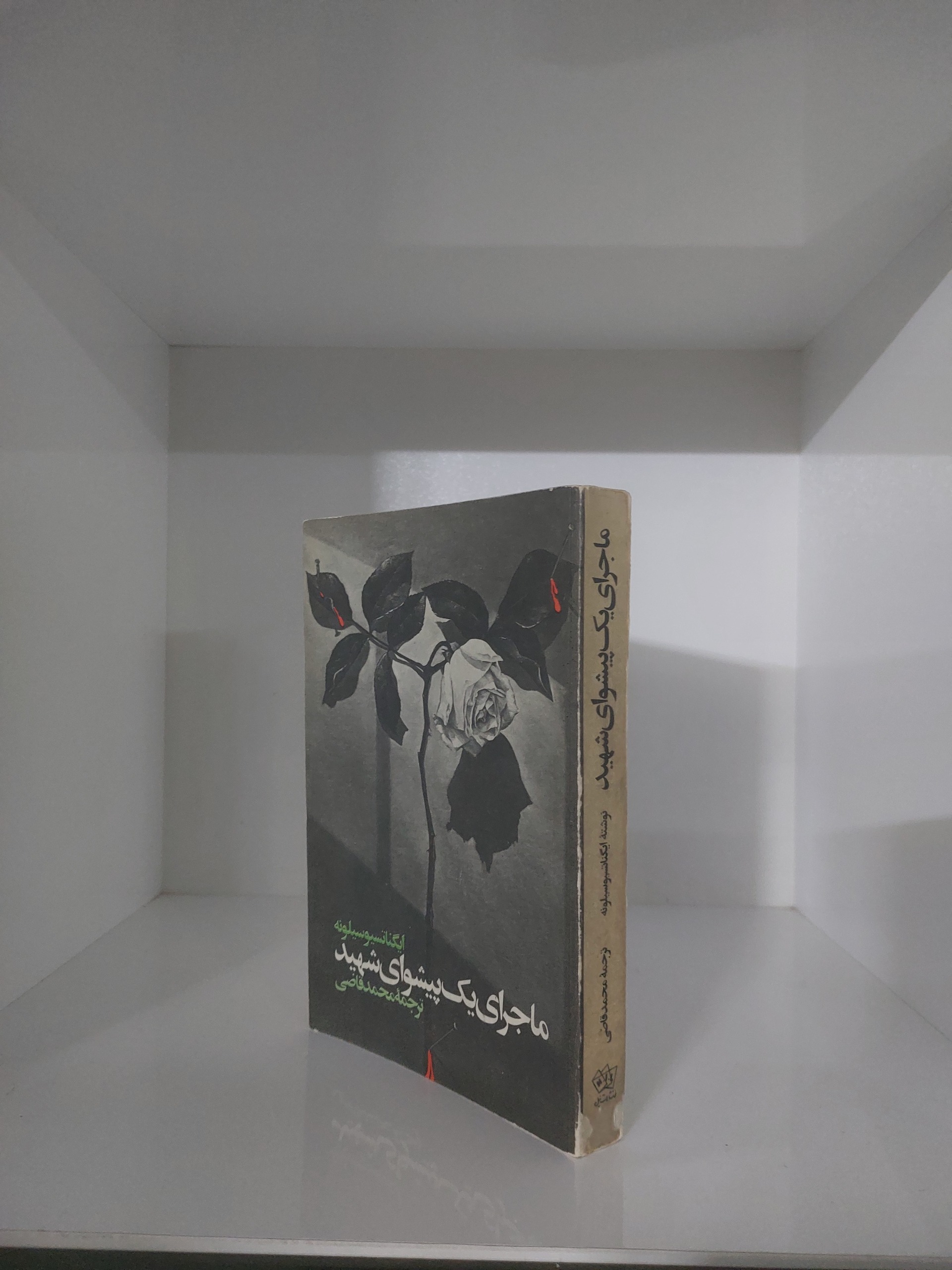 ماجرای یک پیشوای شهید