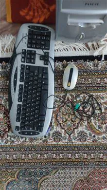 کیس