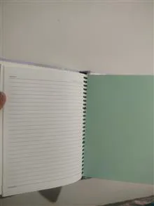 کلاسور
