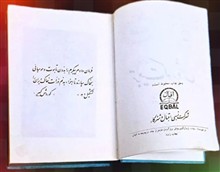 تربیت