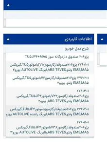 شیلنگ