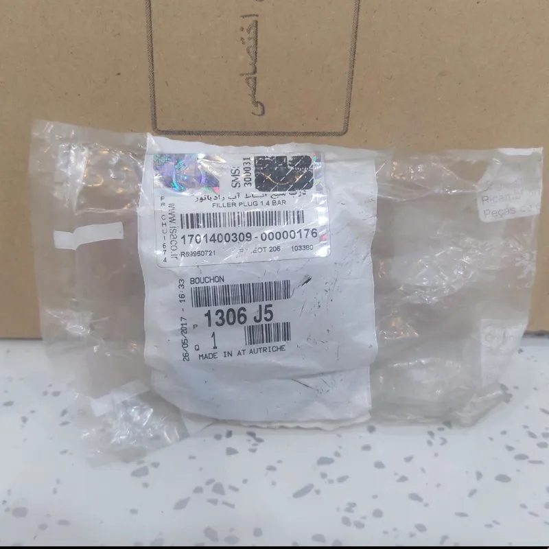 درب منبع انبساط پژو 206 207 رانا اورجینال ایساکو