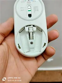 ماوس