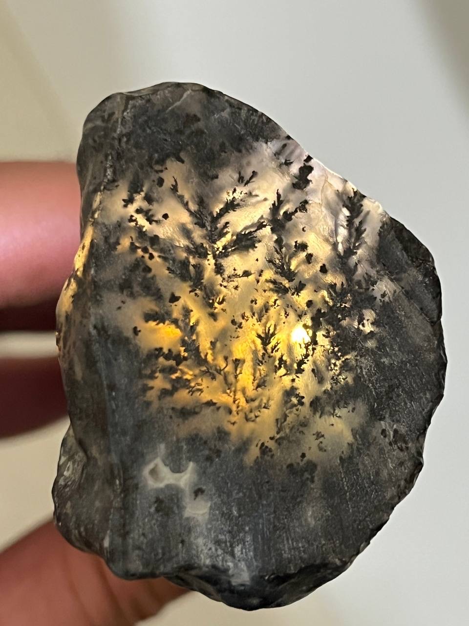 عقیق برش خورده (شجر مشکی)