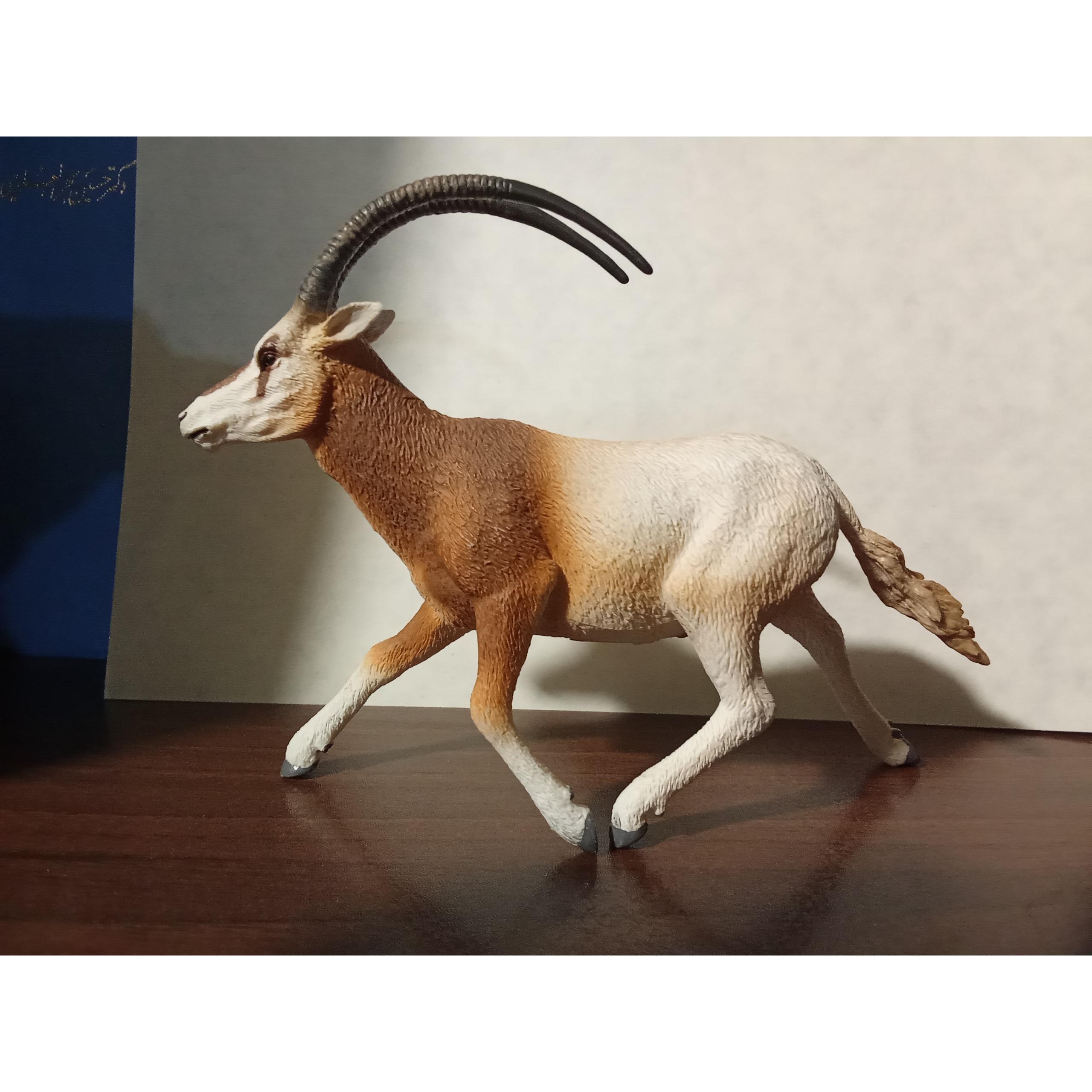 فیگور غزال کالکتا collecta