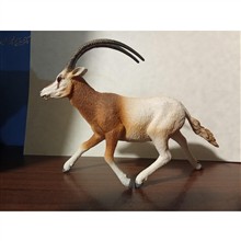 فیگور