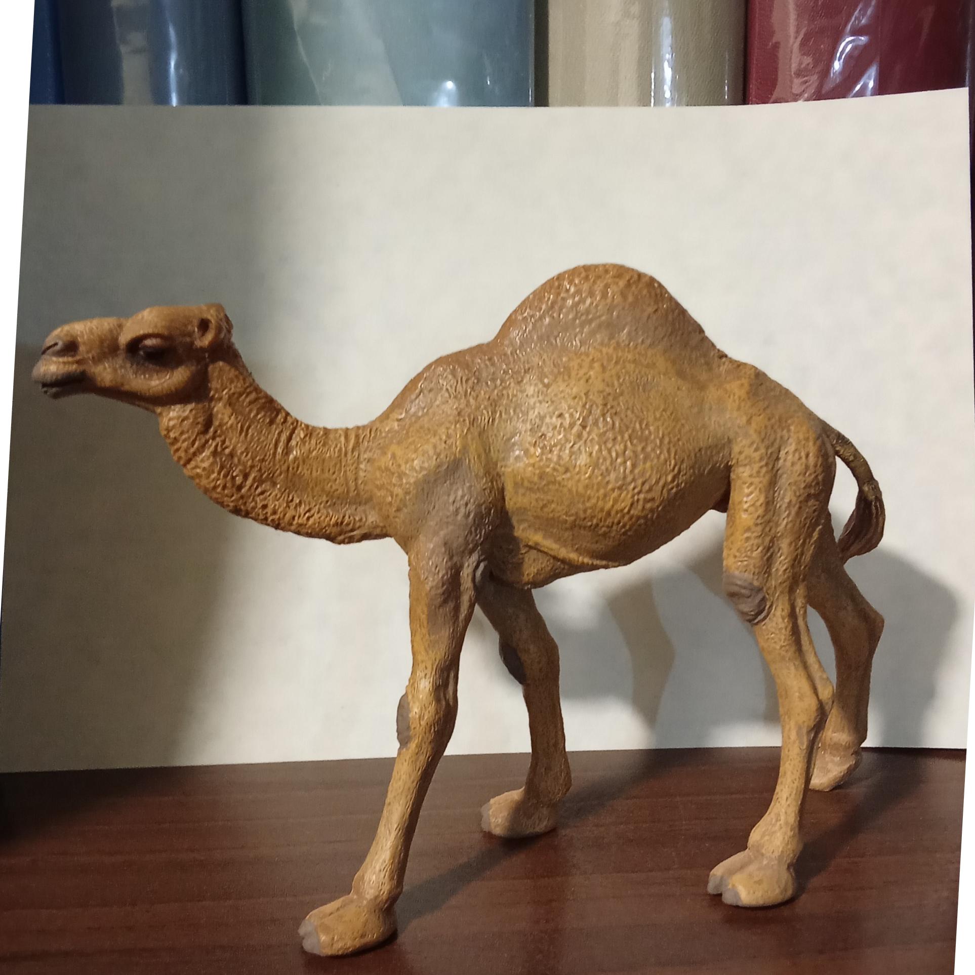 فیگور شتر پاپو