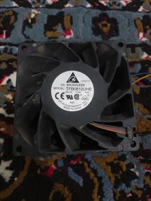 فن