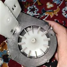 فن