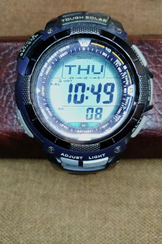 Casio prg clearance 80l