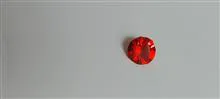 نگین