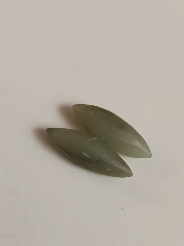 مهره های مار دونه برنجی طبیعی