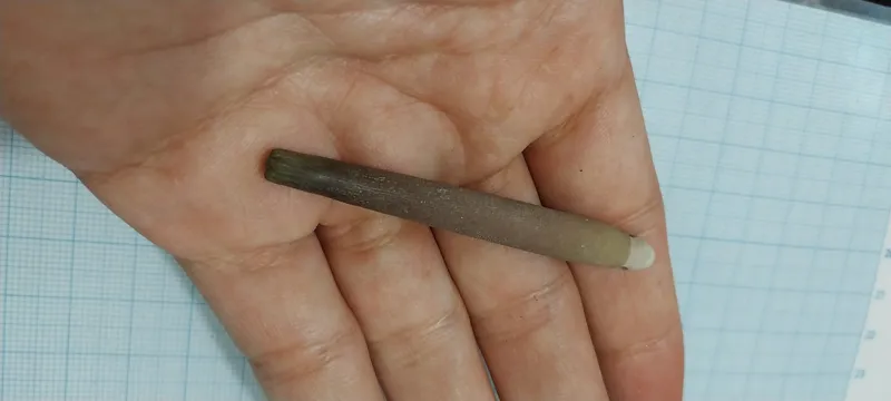 عرج البحر کمیاب و اصیل