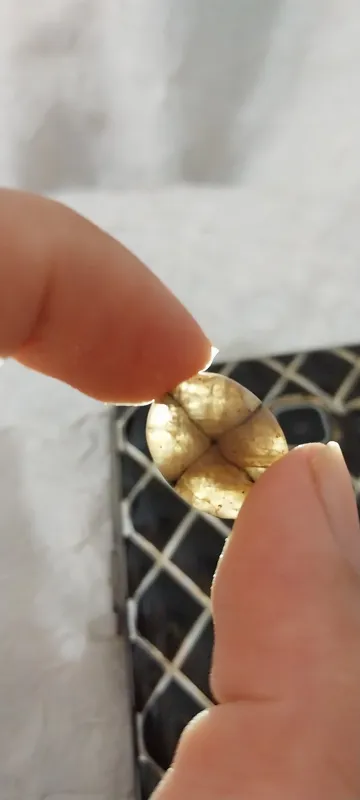 نگین بسیار کمیاب کیاستولیت آندرزولیت بینظیر