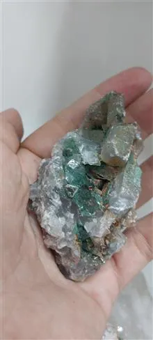 راف