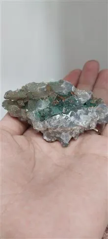 راف