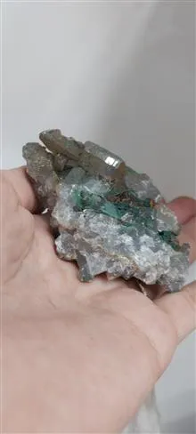 راف