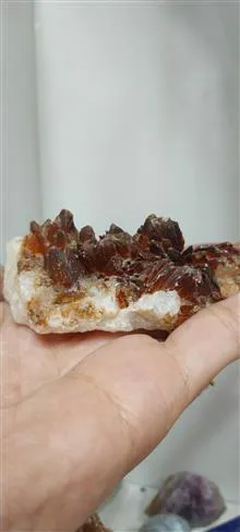 راف