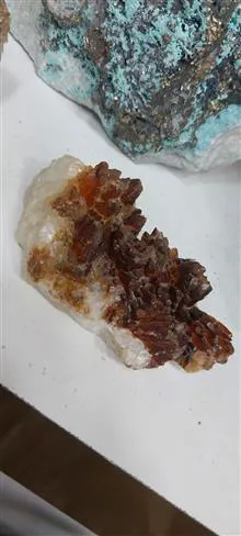 راف