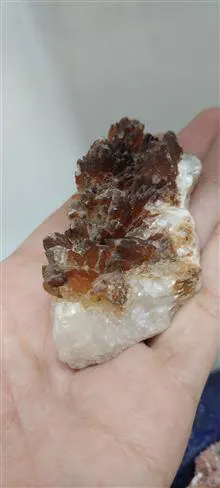 راف