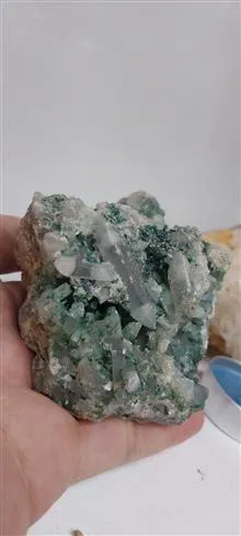 راف