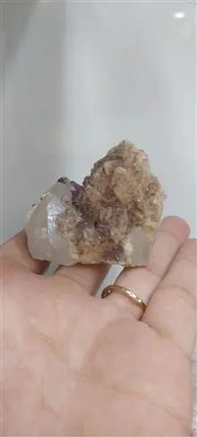 راف