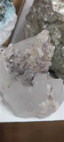 راف