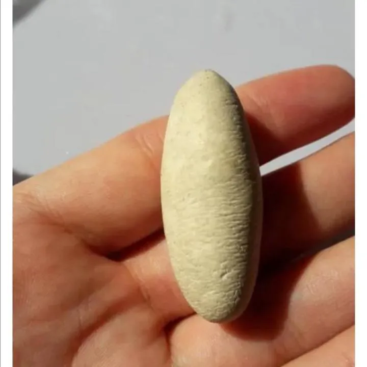  مهره معروف به خرمهره اصل