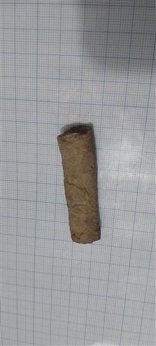 فسیل