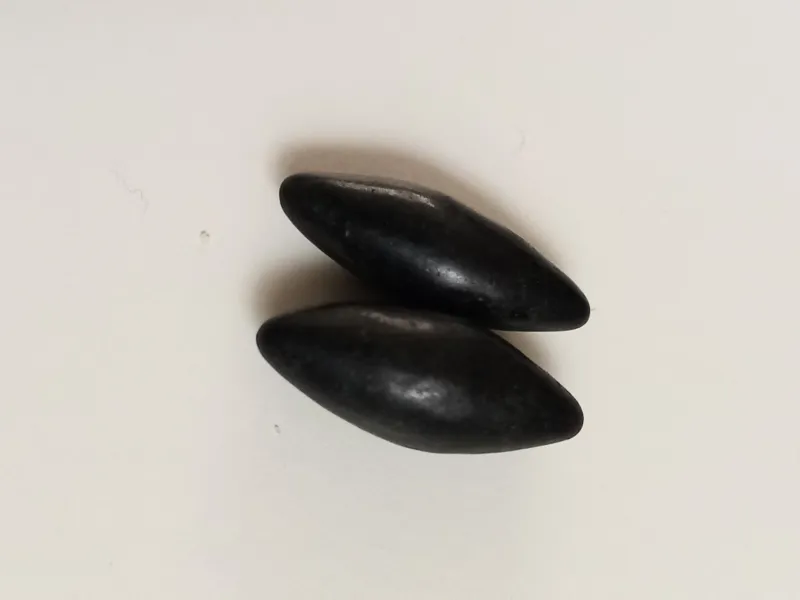 مهره های مار دونه برنجی طبیعی