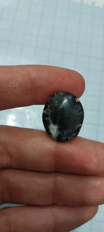 نگین شجر سیاه درختی ژعود دار خاصو کمنظیر