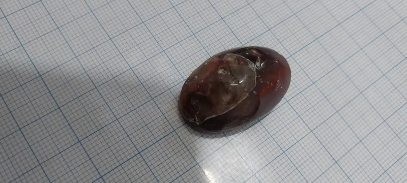 نگین درشت شجر سه بعدی دو پوست