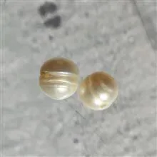 2غدد