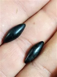 مهره