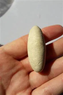مهره