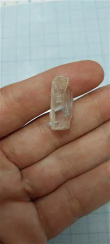 راف