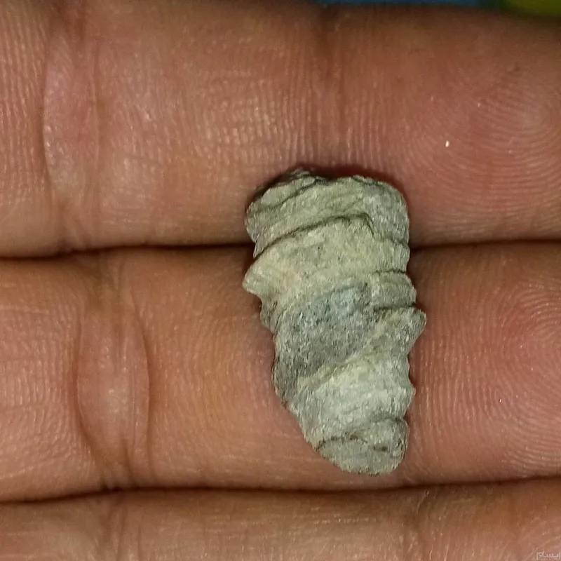 عرج الجبل اصل کاملا طبیعی