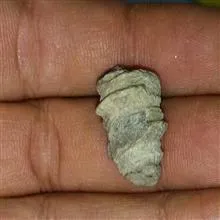 عرج