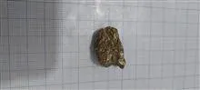 سنگ