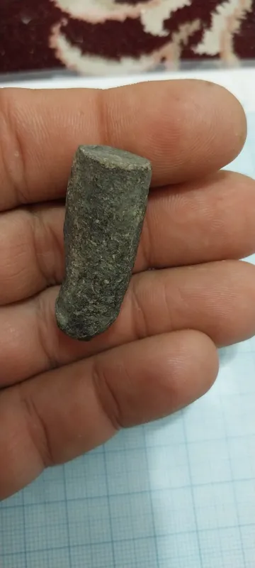 فسیل چوب طبیعی