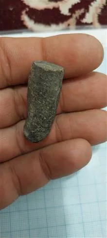 فسیل