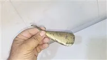 پاشنه
