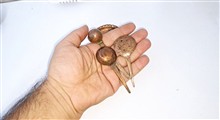 سینی