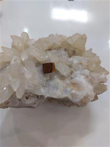 نگین